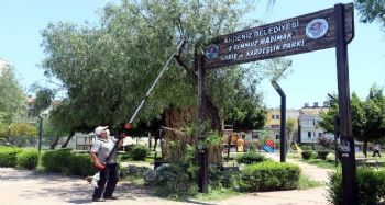 Akdeniz'de park ve yeşil alanlar ilaçlanıyor