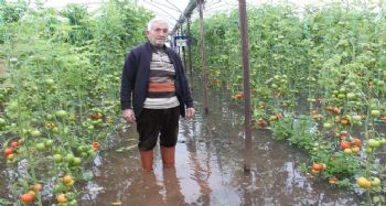 Sel Mersin'de tarım arazilerini vurdu