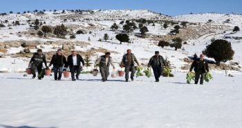 TOROSLARIN ZİRVESİNE YABAN HAYVANLARI İÇİN YEM BIRAKILDI