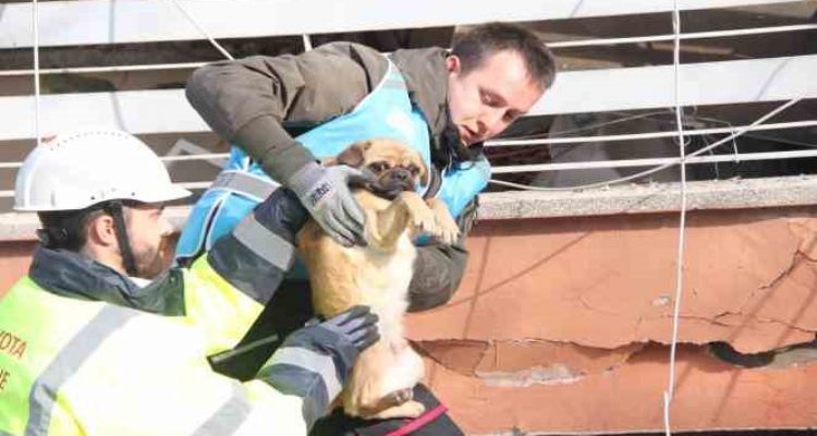 6 katlı bina enkazından sağ çıktı, depremzede kadın sahiplendi