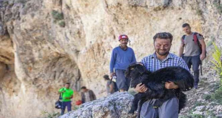 Mersin'de 15 metrelik obruğa düşen keçiyi itfaiye kurtardı