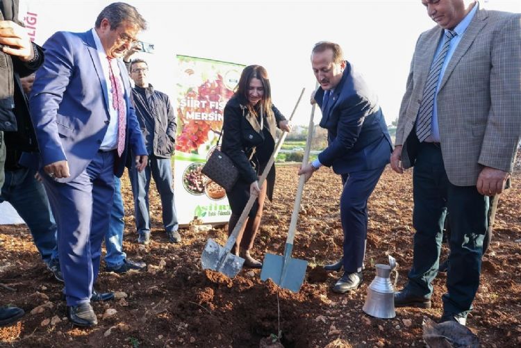 Mersin’de ‘Siirt Fıstığı Mersin’de projesi kapsamında fidan dağıtıldı