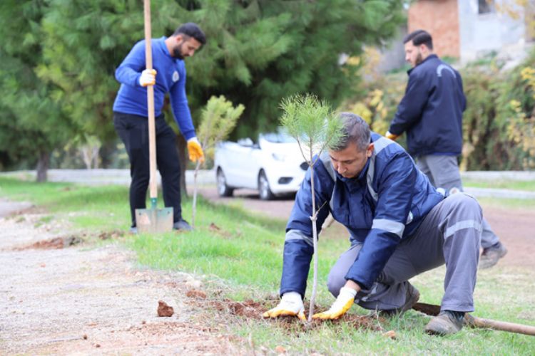 Toroslar Belediyesi, Yeşil Dokuyu Güçlendiren Çalışmalarını Sürdürüyor