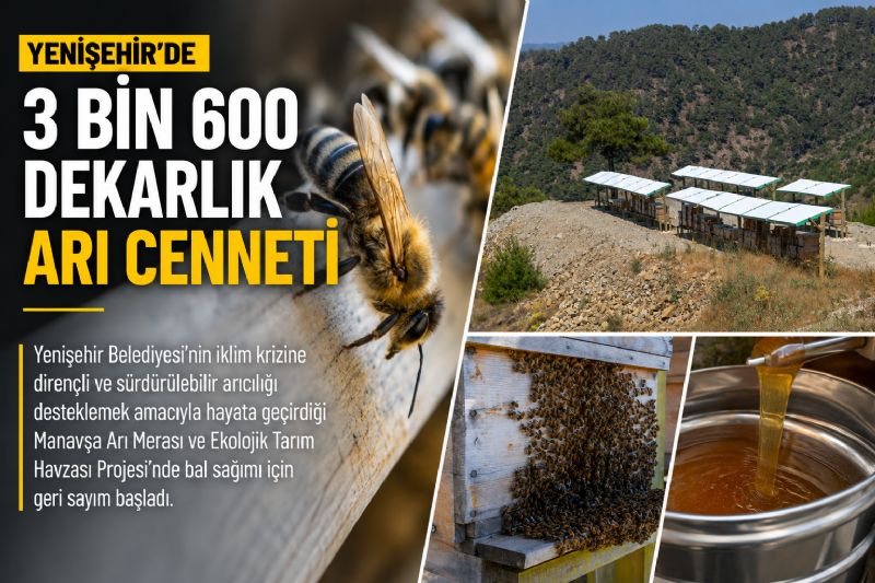 Yenişehir’de 3 Bin 600 dekarlık arı cenneti