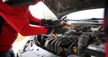 Araç motoruna giren inatçı yavru kedi itfaiye ekiplerince kurtarıldı