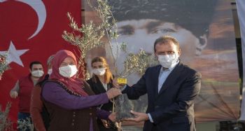 Mersin Büyükşehir Belediyesi, üreticiye 60 bin zeytin fidanı dağıtacak