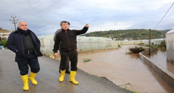 Tollu: "500 kişilik ekiple çalıştık"