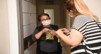 Kadınlar, evde defne yaprağı ayıklayıp para kazanacak