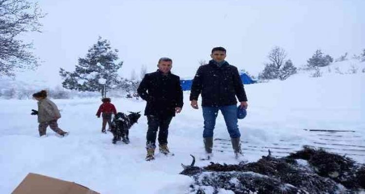 Mersin'de kardan çöken ahırdaki 21 küçükbaş hayvan telef oldu