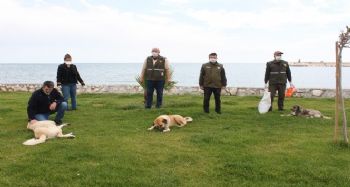 Yiyecek desteği verilen sokak köpekleri sağlık kontrolünden de geçirildi