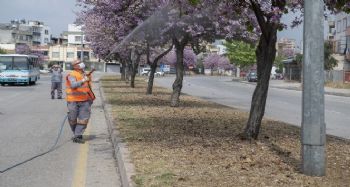Mersin'de haşere ile mücadele çalışmaları sürüyor
