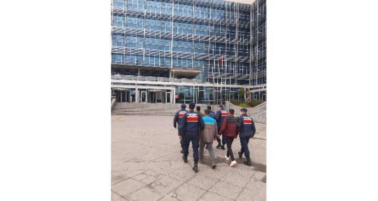 Meyve bahçelerinden hırsızlık yapan 4 kişi tutuklandı