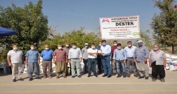 Mersin'de süt üreticilerine kaba yem tohumu desteği