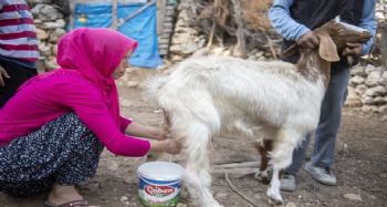 "Haydi Gel Köyümüze Destek Verelim Projesi", kadınların umudu oldu