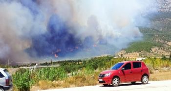 Mersin'in 2 ilçesindeki yangınlar sürüyor