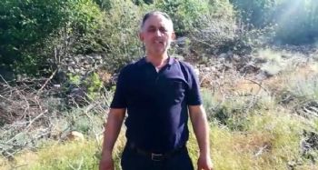 Kurtlar 18 küçükbaş hayvanı telef etti