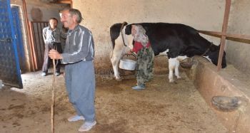Mersin Orman Bölge Müdürlüğü’nden 129 aileye 3,5 milyon lira ORKÖY kredisi