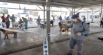 Mersin'de belediyeden bayramda ücretsiz kesim ve ulaşım hizmeti