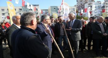 Mezitli'deki 54. koruluk, kent merkezinde oluşturuldu