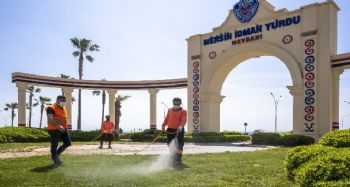 Mersin'de zararlılara karşı ilaçlama çalışması