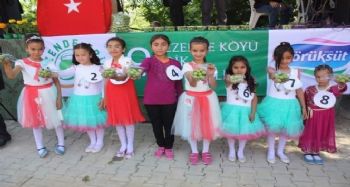 Gezende eriğinin kalitesi bir kez daha tescillendi