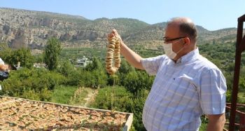 Mersin'de incir altın yılını yaşıyor