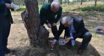 20 BİN 750 YIRTICI ORMANA BIRAKILDI