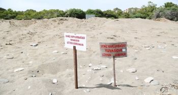 Mezitli Belediyesi, Davultepe 100. Yıl Plajı planına itiraz etti