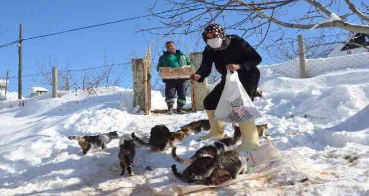 Dondurucu soğukta sokak hayvanları unutulmuyor