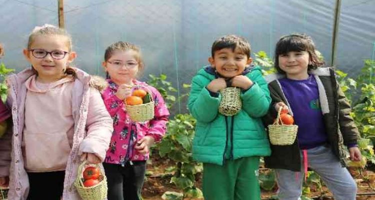 Minik ellerin ilk hasat sevinci