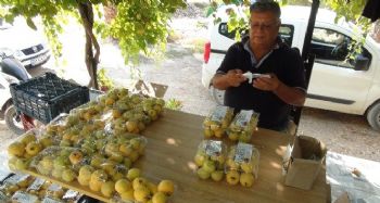 TÜRKİYE’NİN İLK GUAVA ÜRETİCİSİ