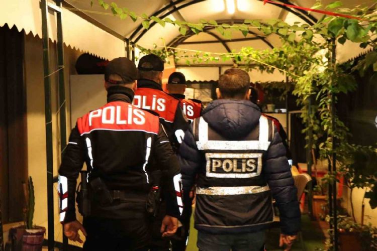 Mersin’de günü birlik ev ve kiralık araç firmalarına denetim