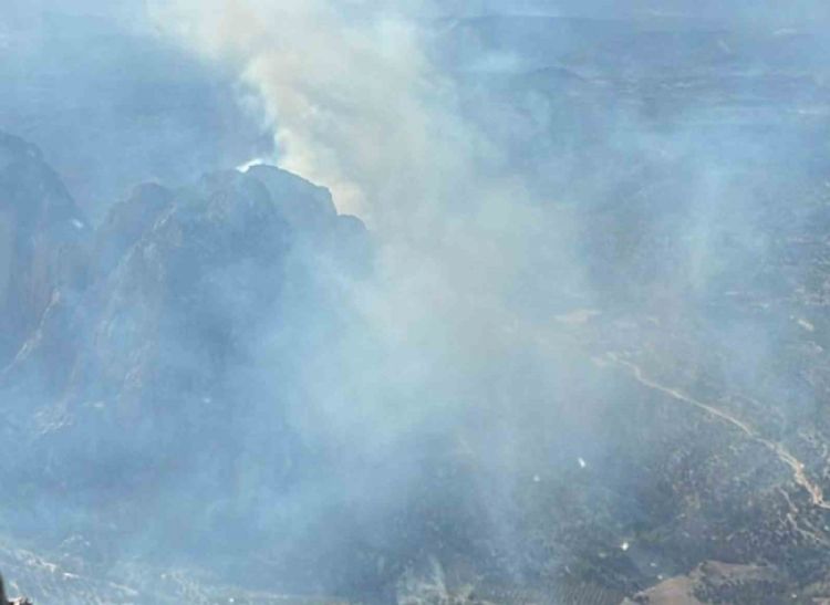 Mut’ta ormanlık alanda çıkan yangın kontrol altına alındı