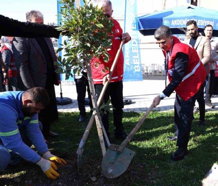 Akdeniz Belediyesi, depremde hayatını kaybedenler anısına fidan dikti