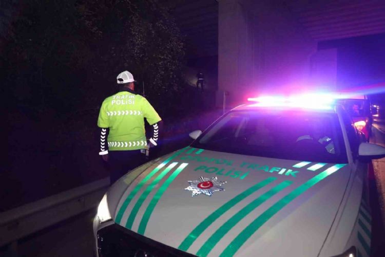 Mersin’de ‘yumurtalı çete’ iddiaları üzerine otoyolda denetim başlatıldı