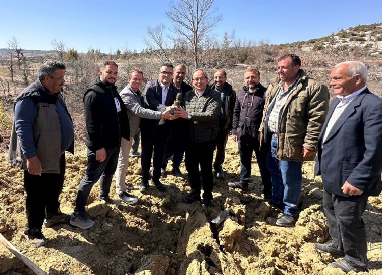 Mersin’de biberiye fidanları toprakla buluşturuldu