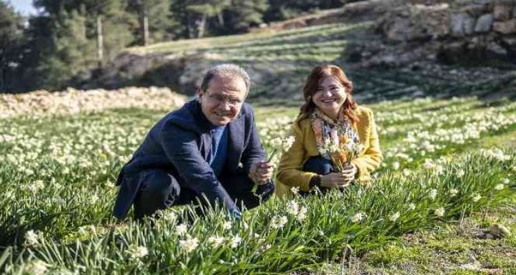 Mersin'de Nergis Şenliği düzenlendi