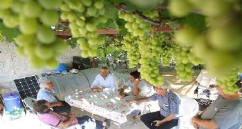 Başkan Tarhan'dan en az oy aldığı Tol Mahallesi'ne ziyaret