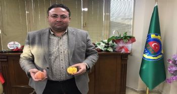 Sezonun ilk turfanda şeftalisi Tarsus'ta hasat edildi