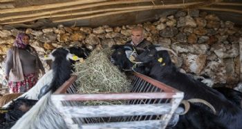 ‘Haydi gel köyümüze destek verelim’ projesi, yeni doğumlarla büyüyor
