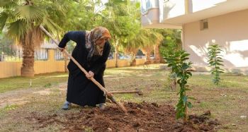 Kızı için her yıl fidan diken anneye Büyükşehir'den destek