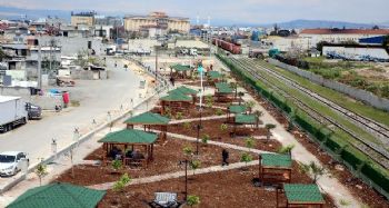 Özgürlük Mahallesinde 9,5 dönümlük parkın çalışmaları son hız sürüyor