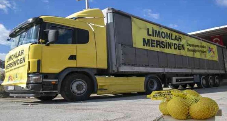 Mersin'den 4 büyük şehre limon gönderildi