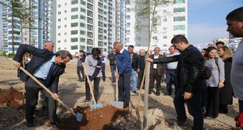 Mezitli Belediyesi'nin koruluk sayısı 53'e yükseldi