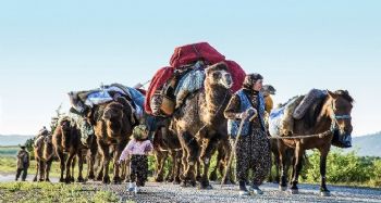 Sarıkeçili Yörüklerinin göçü, fotoğraf sanatçısına 2 ödül getirdi