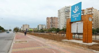 Mezitli Belediyesi, İnsan Hakları Haftasını jakaranda koruluğunda kutlayacak