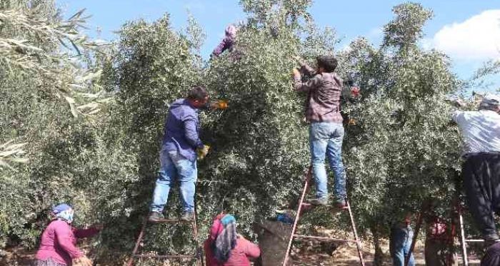 BAŞKAN TUNA; “BU ŞEHİR HEPİMİZİN”