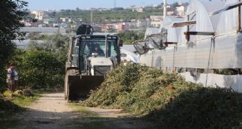 Erdemli'de tarım arazileri temizlendi