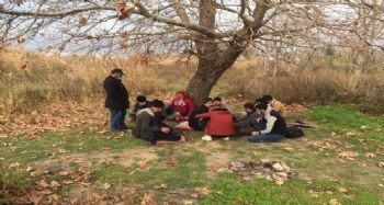 Mersin'de 14 düzensiz göçmen yakalandı