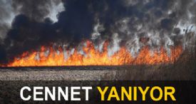 CENNET YANIYOR